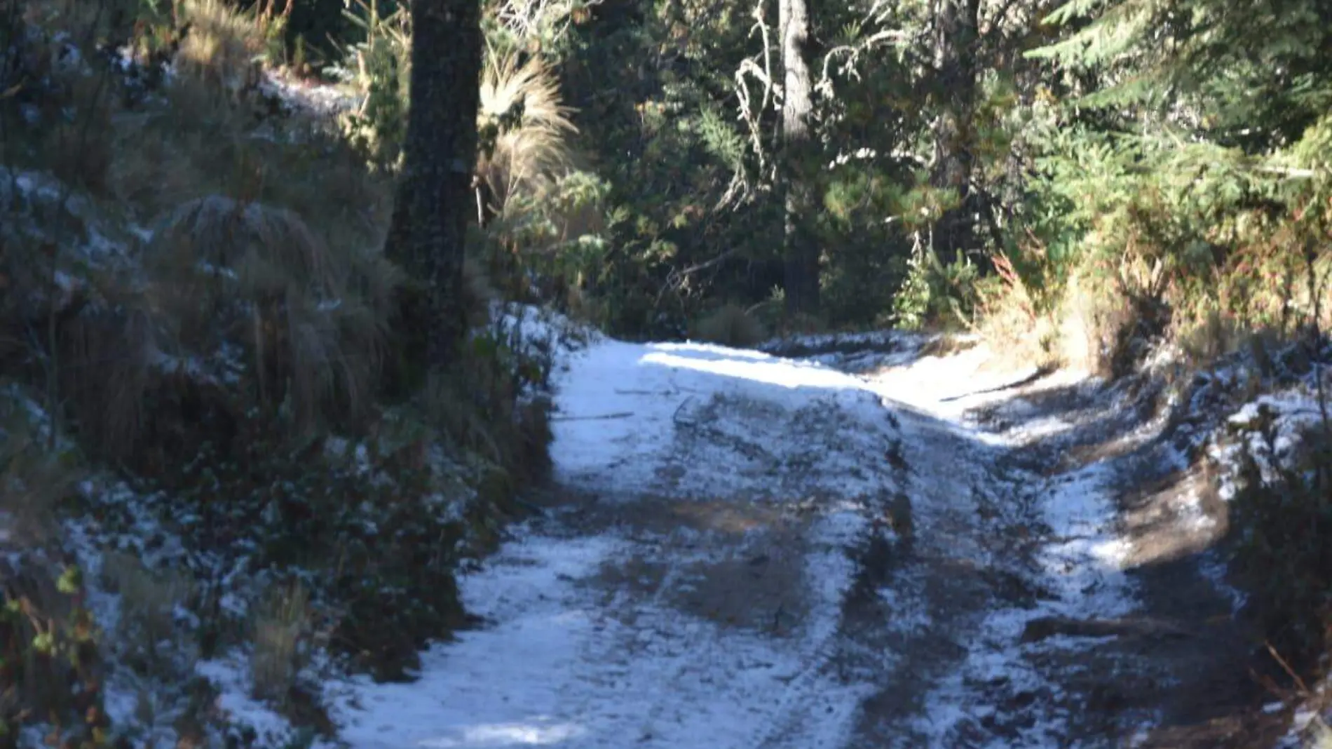 nieve en le Malinche (2)